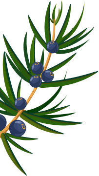 Decorative Shape