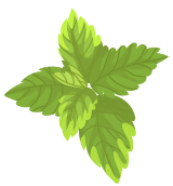 Decorative Shape